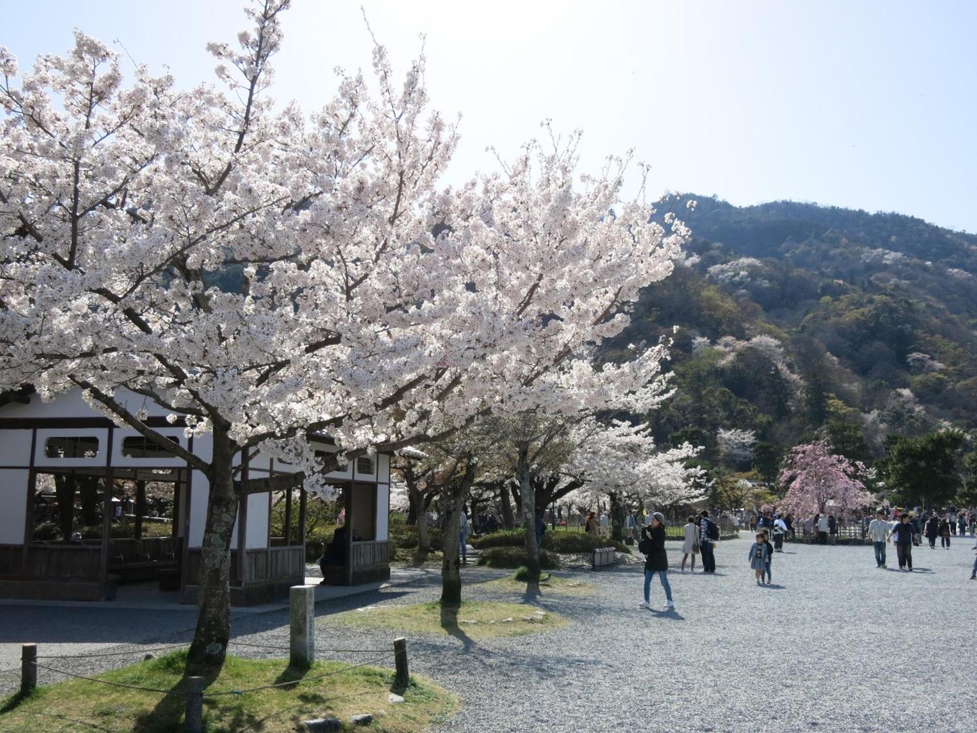 The Grandwest Arashiyama Aparthotel Κιότο Εξωτερικό φωτογραφία